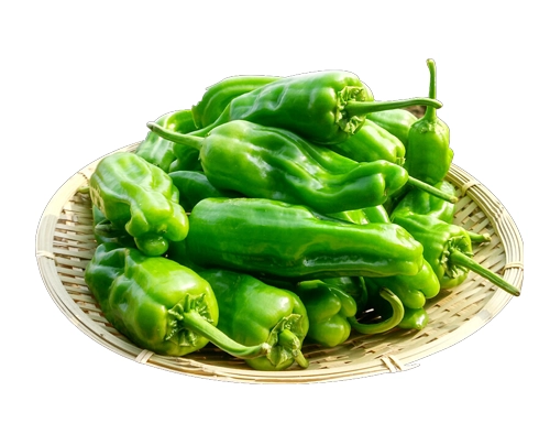 青椒